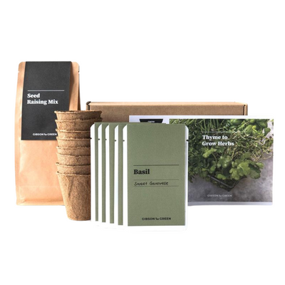 Gibson & Green Thyme to Grow Herbs Grow Kit