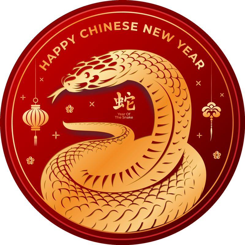 Chinese Lunar New Year 2025 Custom Sticker